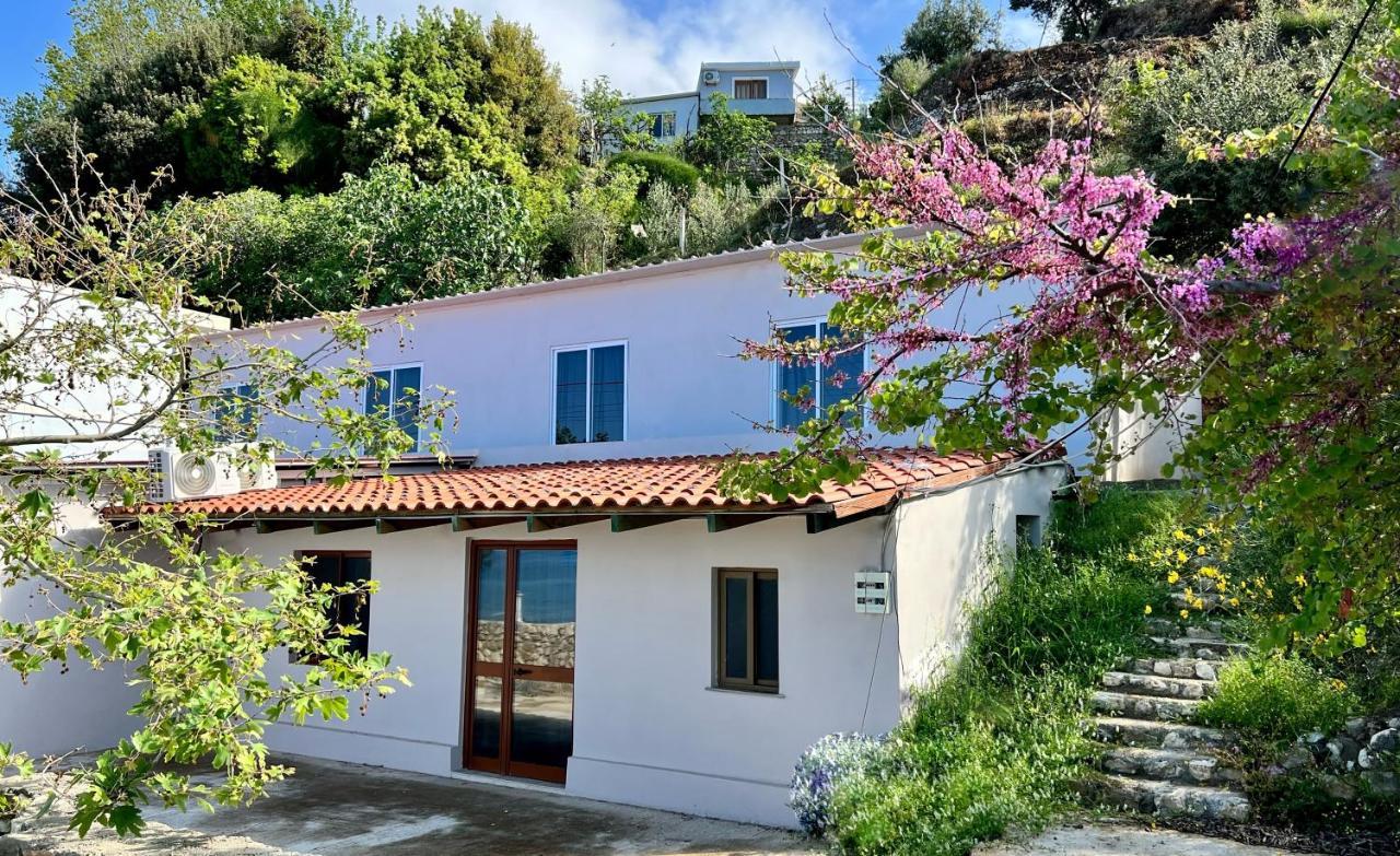 Residence Villa Denny&Villa Kate Borsh Exterior foto